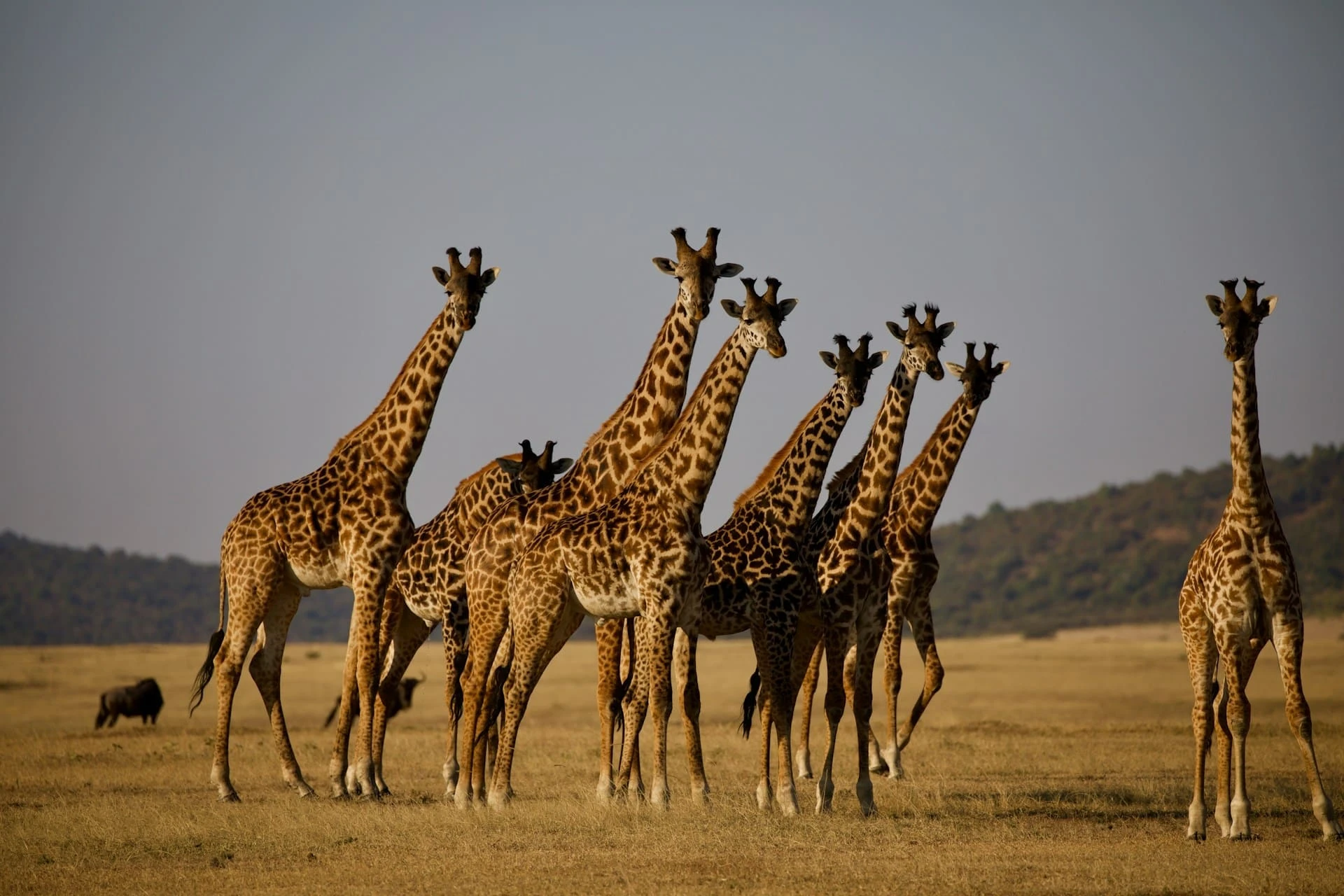 Tierras de Tanzania 2027